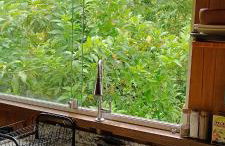 Casa Rudá Paraty - Foto 14