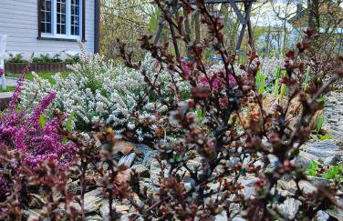 Domek Sandomierz Dwie Chatki - Foto 13