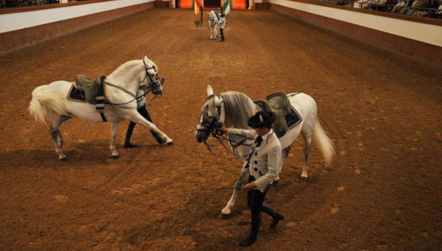 Jerez de la Frontera Trip - Foto 2