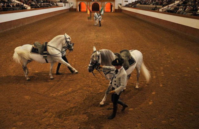 Jerez de la Frontera Trip - Photo 3