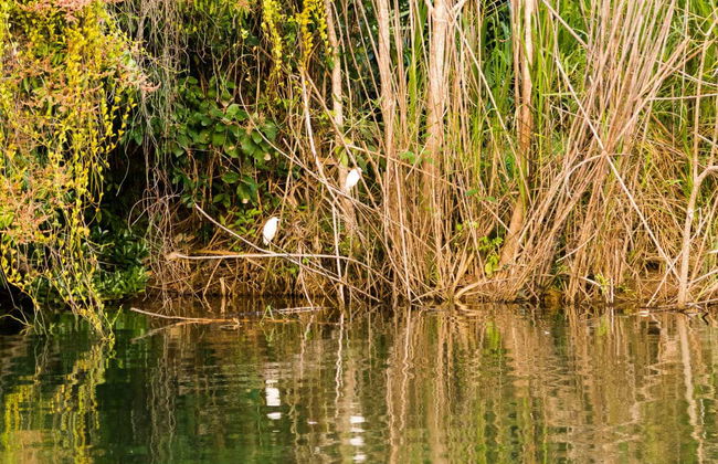Zip line e Cave Tubing al parco Jaguar Paw - Foto 1