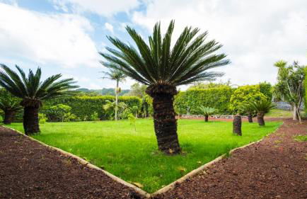 Quinta do Torcaz - Foto 99