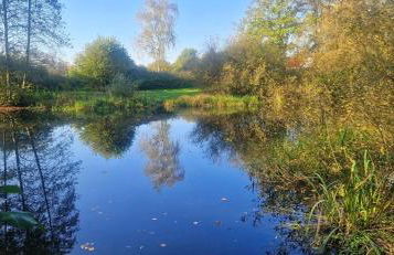 Ferienwohnung LandLicht mit Terrasse in ruhiger Lage - Foto 47