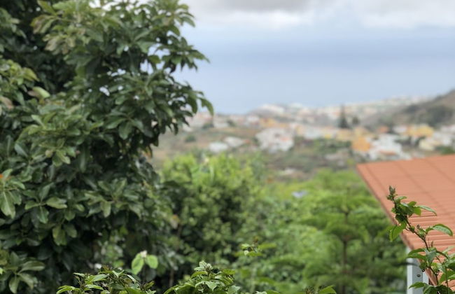 Los Viejitos en Firgas - Foto 78