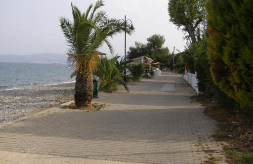 Oma's Haus- Το σπίτι της γιαγιάς - Foto 6