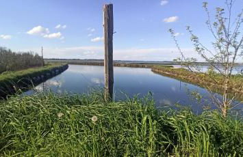 Casa Vacanze Nel Delta del Po - Foto 29