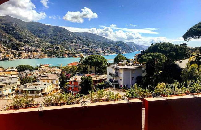 Eurotel 505 - Foto 13