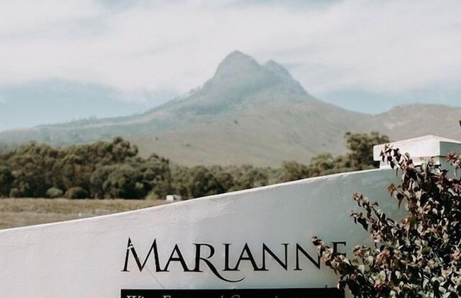 Marianne Wine Estate - Photo 1