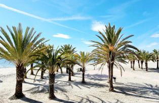 Mirador APARTMENTS BEACH FIRST LINE - Photo 19