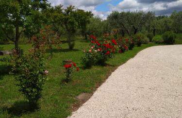 Casa Vacanze Le Rose - Foto 1