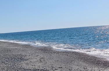 Dal Professore - Foto 10