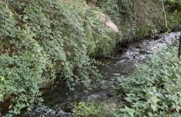 House in Seggio, peace in the green heart of Umbria - Foto 15