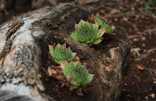 Apartments by the sea Lukoran (Ugljan) - 836 - Foto 14