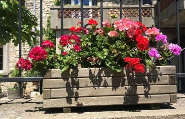 Maison charmante à Orgnac-l'Aven avec piscine partagée. - Photo 4
