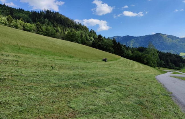 Sunlit Apartment near Ski Area in Mittersill - Foto 23