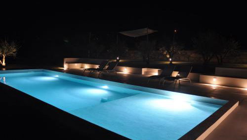 Olival da Seara - Foto 3