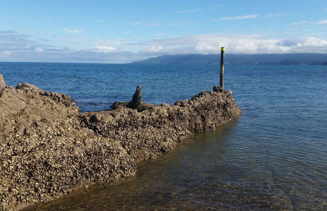 Anglers Lodge - Foto 78