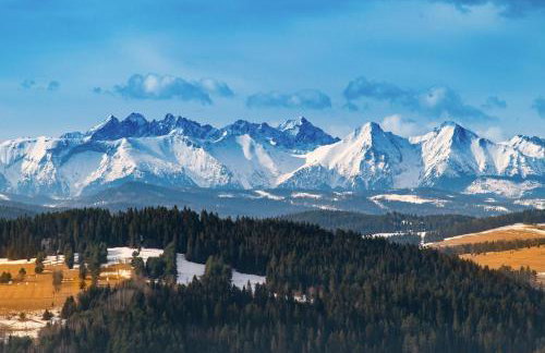 Toporowe Izby - Foto 17