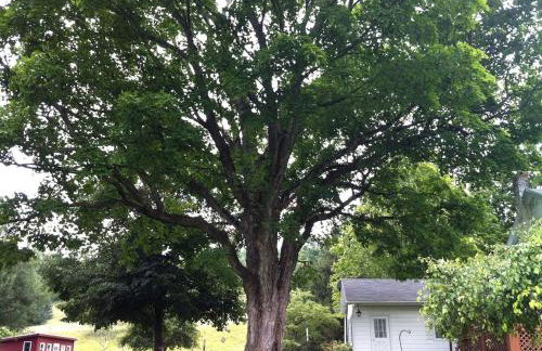Enchanting Secluded Cabin Rental near Salem, New York - Foto 18