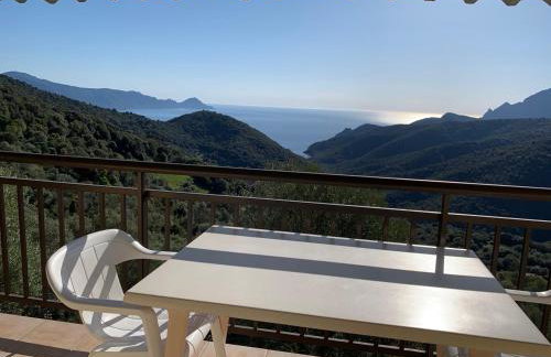 Les Asphodèles - Foto 60