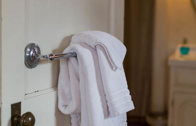 Garden Oasis Near Downtown - Photo 12