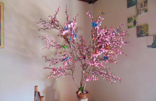 Rancho do Colega - Foto 29