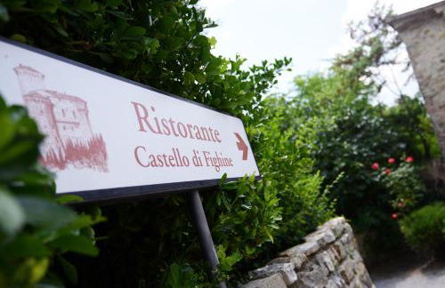 Castello di Fighine - Foto 32