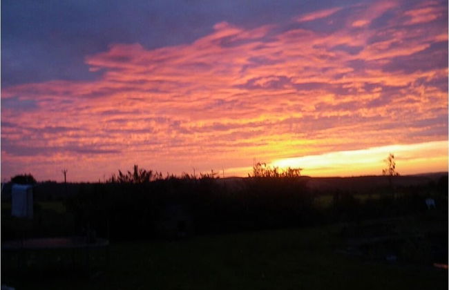 Hamsteels Hall - Foto 31