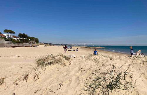 Holmans NEW FOREST - Photo 10