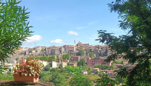 La Civetta - Casa vacanze Orte - Foto 2