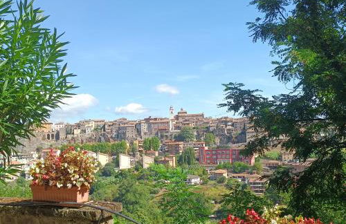 La Civetta - Casa vacanze Orte - Foto 2