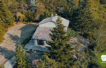 Villa Cerfoglio, pace sulle colline romagnole - Foto 17