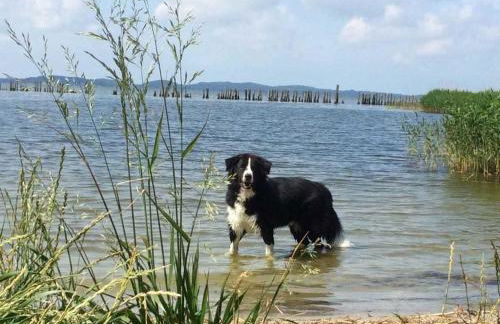 Ferienwohnungen Polchow - direkt am Wasser - Foto 16