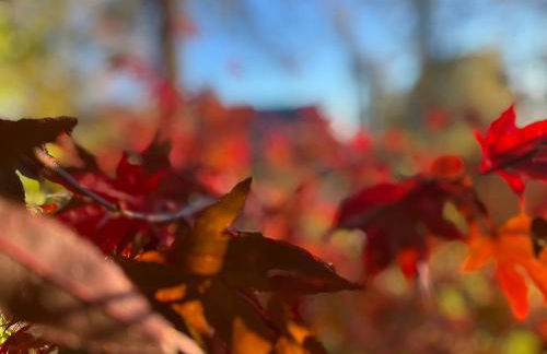 Dreckerhook, oasis to slow down! - Foto 36