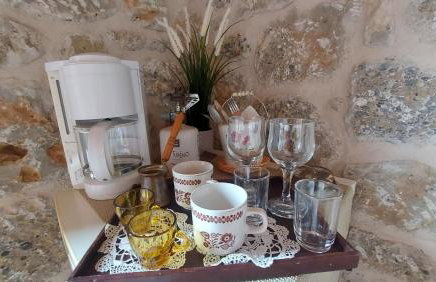 homonatura petrinum - Foto 7