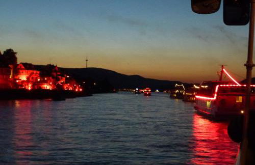 Ferienwohnungen im Moseltal - Foto 6