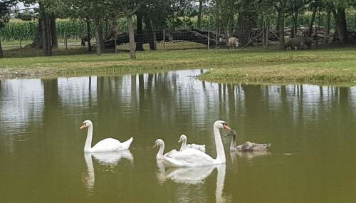 les portes des Froises - Foto 5