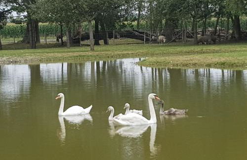 les portes des Froises - Foto 5
