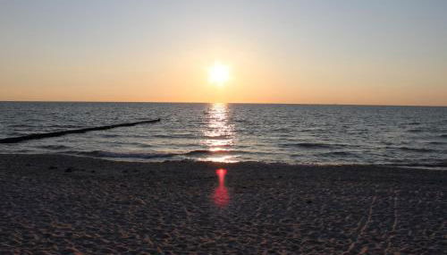 "Koppeldeich" - Foto 3