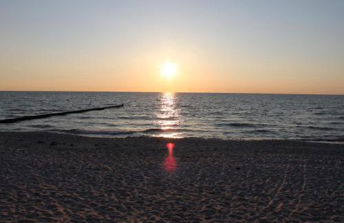 "Koppeldeich" - Foto 3