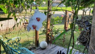 casa no paraíso do Capri - Foto 4, Garden, Garden view