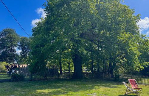 Grande maison entre Lac et forêt - Foto 66