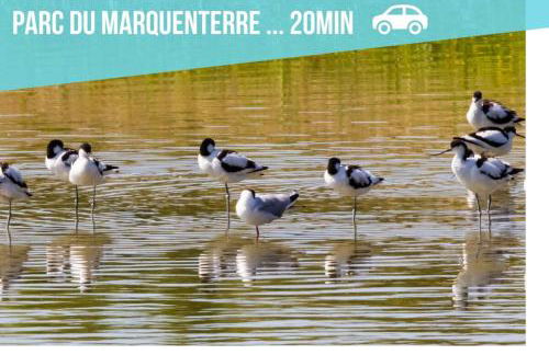 Le Fleur des Champs-St Valery & Le Crotoy à 10min - Foto 20