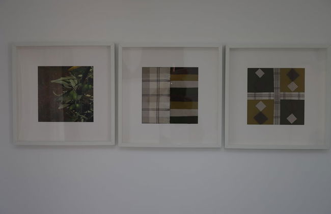 Arco Bungalows Agroturismo & Relax - Foto 8