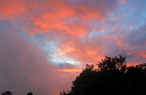 A Morada do Muriqui - Foto 21