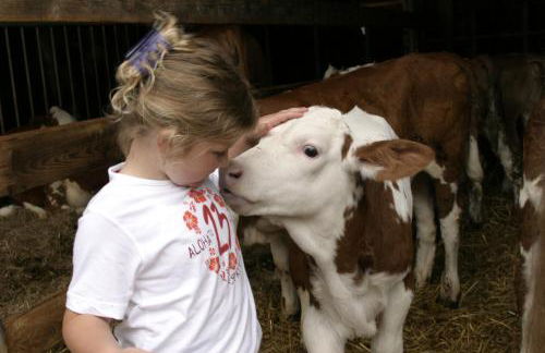 Wofahanslhof - Foto 18