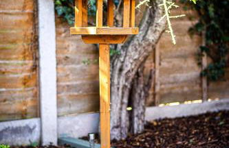 Westmorland House - Photo 21