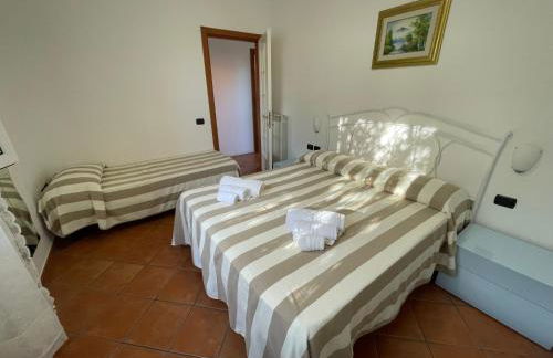 Residence Villa Andrea - Foto 48