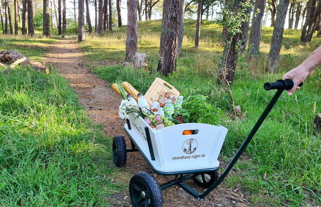 Strandhaus Rügen - Foto 18