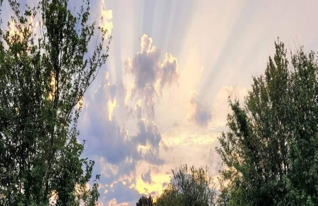 6 Person Holiday Home in Dannemare - Foto 25